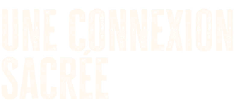 Une connexion sacré
